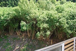 Feeling Hotel Fontanella