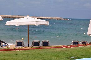 Tolip Alexandria
