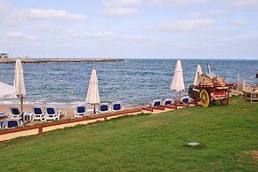 Tolip Alexandria