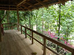 Macaw Lodge