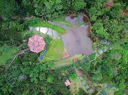 Macaw Lodge