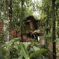Macaw Lodge