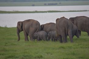 Amaya Beach Pasikudah