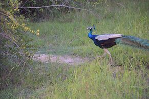 Amaya Beach Pasikudah