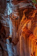 Zion Ponderosa Ranch Resort