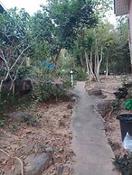 Phi Phi Jungle Hill Bungalow