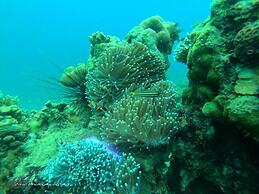 Phi Phi Relax Beach Resort