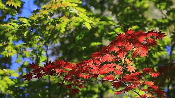 Holiday Inn Express Changbaishan by IHG