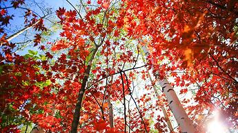 Holiday Inn Express Changbaishan by IHG