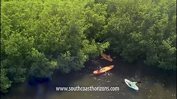 South Coast Horizons