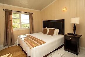 South Coast Horizons