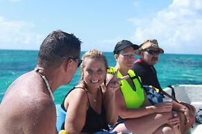 South Coast Horizons