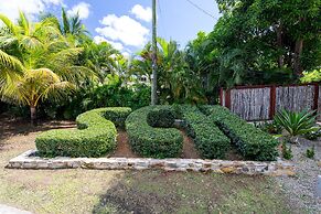 South Coast Horizons