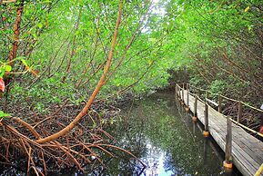 South Coast Horizons
