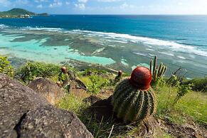 South Coast Horizons