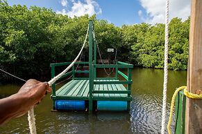 South Coast Horizons