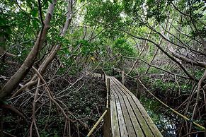 South Coast Horizons