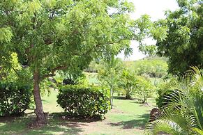 South Coast Horizons