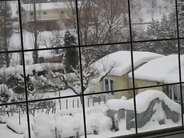 Genelle House B&B Guest House