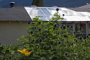 Genelle House B&B Guest House