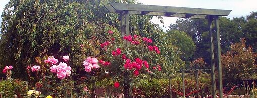 Perrymount Country Home Bed & Breakfast