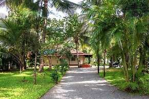 Palm Grove Service Villa