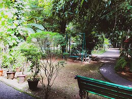 Palm Grove Service Villa