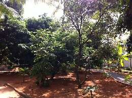 Palm Grove Service Villa