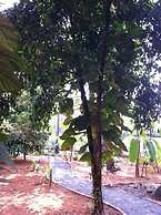 Palm Grove Service Villa