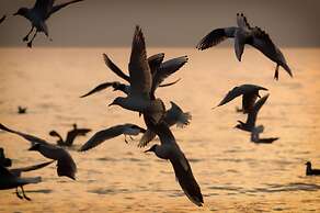 Langham Place Xiamen