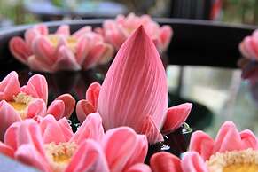 Angkor Empire Boutique Hotel