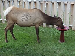 Yellowstone Gateway Inn