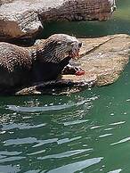 Sheridan House Inn - Adult Only