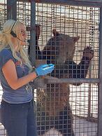 Sheridan House Inn - Adult Only