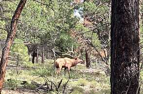 Sheridan House Inn - Adult Only