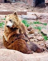 Sheridan House Inn - Adult Only