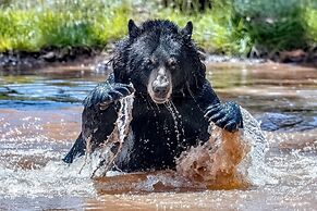 Sheridan House Inn - Adult Only