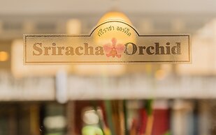 Sriracha Orchid