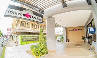 Sriracha Orchid