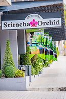 Sriracha Orchid