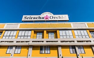 Sriracha Orchid