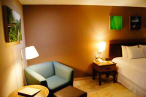 Hilton Garden Inn Boca del Rio Veracruz