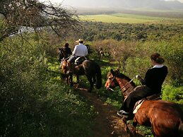 Hacienda Los Lingues Chili