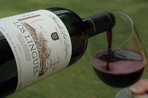 Hacienda Los Lingues Chili