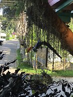 Hotel e Pousada Pouso54