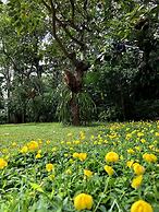 Rumah Boedi Private Residence Villa