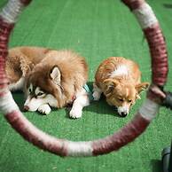 Long Beach Garden Hotel and Pavilions