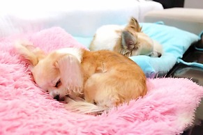 Long Beach Garden Hotel and Pavilions