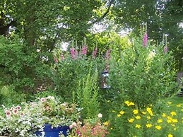 Riffles and Runs B & B