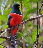 Hotel de Montaña Suria